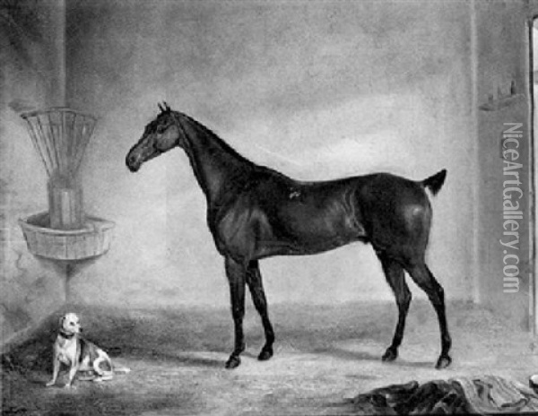 A Bay Racehorse And A Terrier In A Stable Oil Painting - Thomas Walker Bretland
