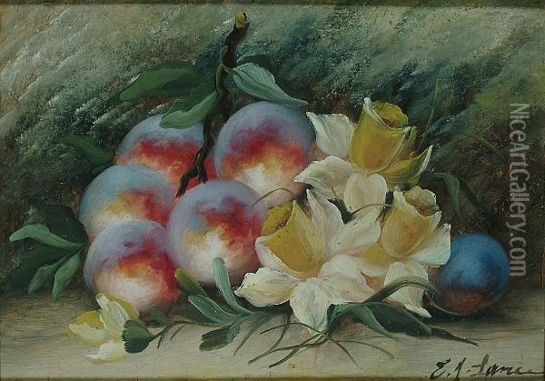 Still Lifes Of Fruit And Flowers Oil Painting - Chester Earles