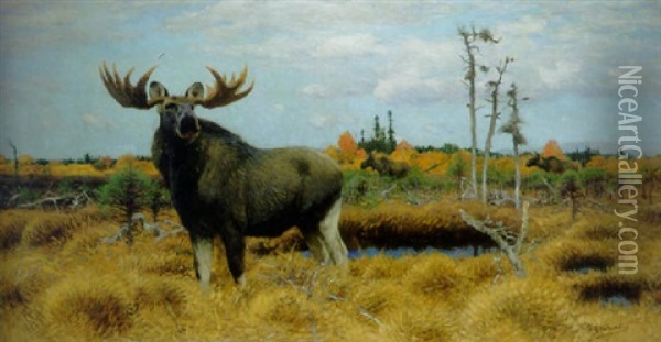 Elks In A Marsh Landscape Oil Painting - Wilhelm Friedrich Kuhnert