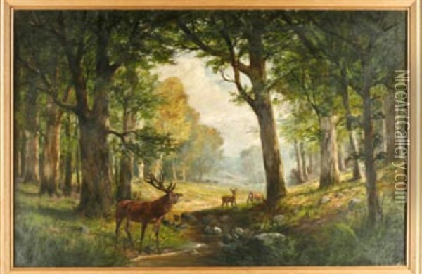 Rotwild Am Waldbach Oil Painting - Georg Sommer