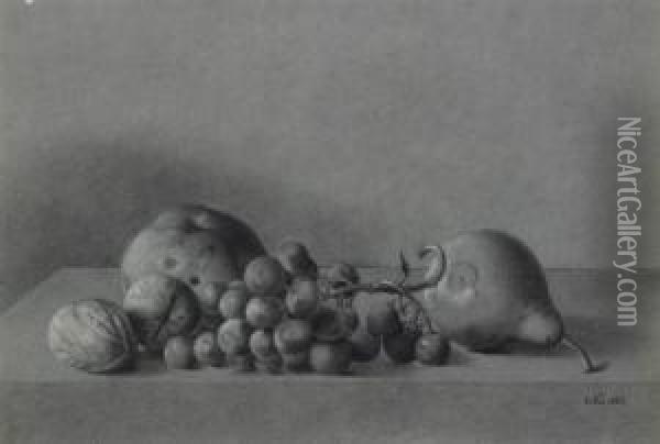 Still Life With Grapes, Walnuts, An Apple And A Pear Oil Painting - Emilie Preyer