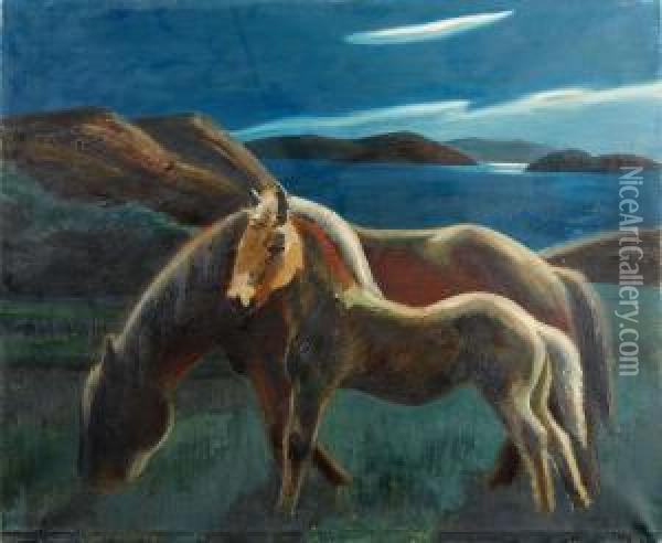 Augustinatt,vestkusten Oil Painting - Ewald Albin Filip Dahlskog
