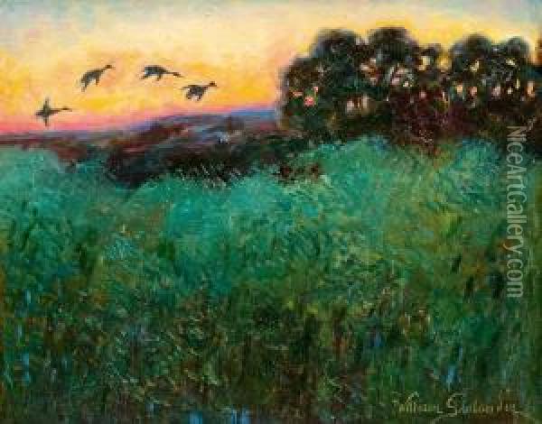 Ducks In Sunset Oil Painting - William Gislander