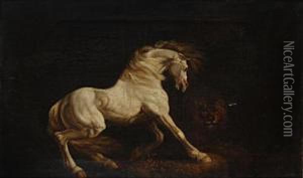 A Horse Frightened By A Lion Oil Painting - George Stubbs