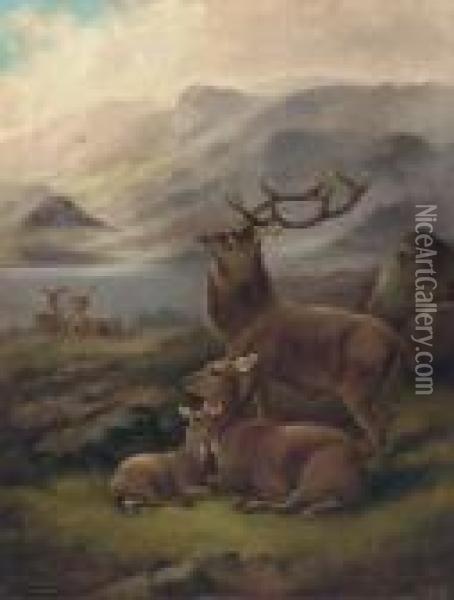 A Stag With Hinds By A Loch Oil Painting - Robert Cleminson