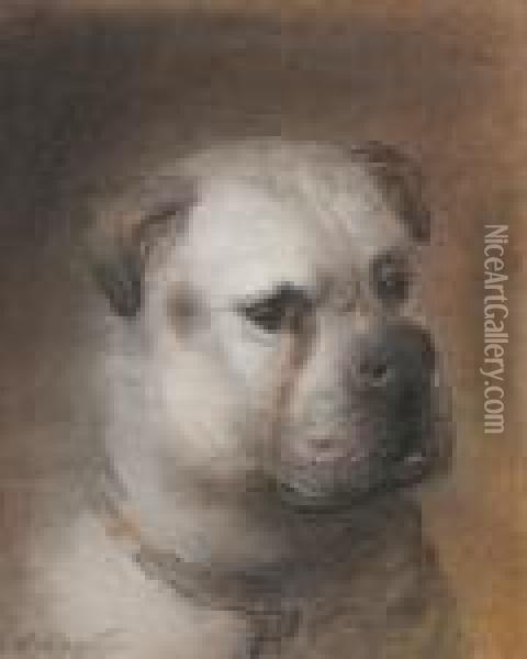 Head Of A Bull Terrier Oil Painting - Edward Robert Smythe