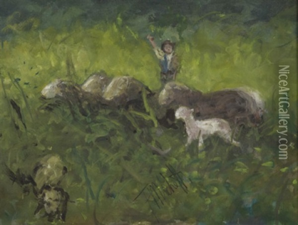 Pastore Con Pecore Oil Painting - Francesco Paolo Michetti