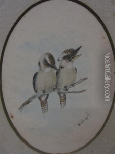 Two Kookaburras Oil Painting - Neville, Will. Cayley Jnr.
