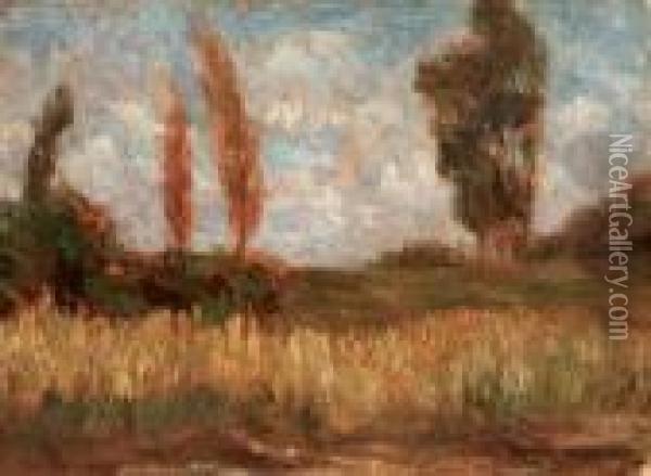 Paesaggio Lungo Il Sile Oil Painting - Pietro Fragiacomo