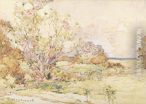 Spring Landscape Along The Gulf Coast, Biloxi Oil Painting - Ellsworth Woodward