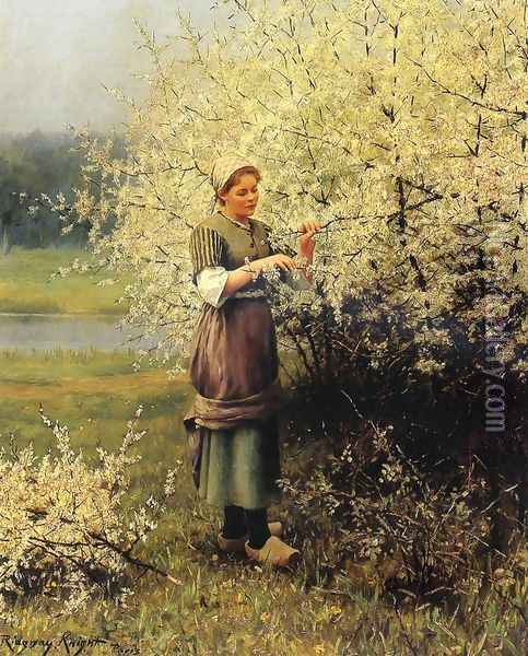 Spring Blossoms Oil Painting - Daniel Ridgway Knight