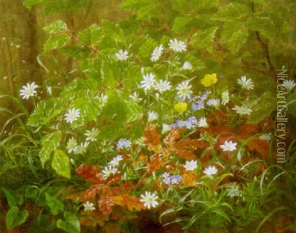Skovbund Med Vilde Blomster Oil Painting - Anthonie Eleonore (Anthonore) Christensen