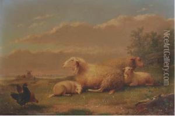 Sheep Resting In A Meadow Oil Painting - Auguste Coomans