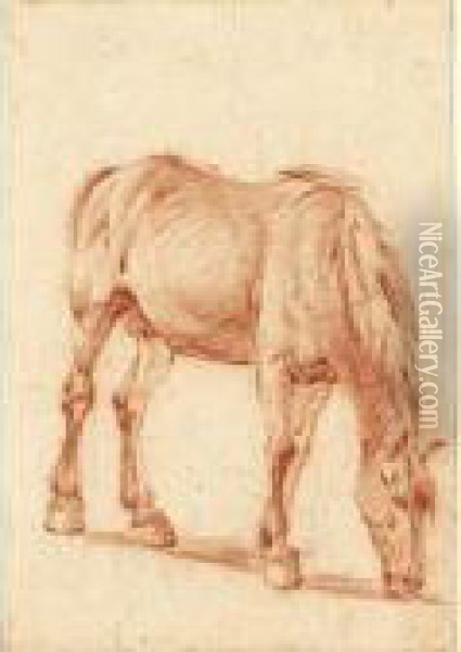 A Grazing Horse Oil Painting - Adrian Van De Velde