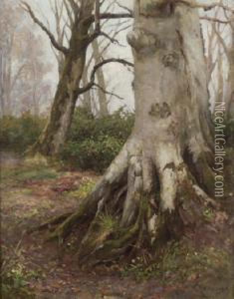 Spring Time, An Irish Forest View Oil Painting - Arland A. Ussher