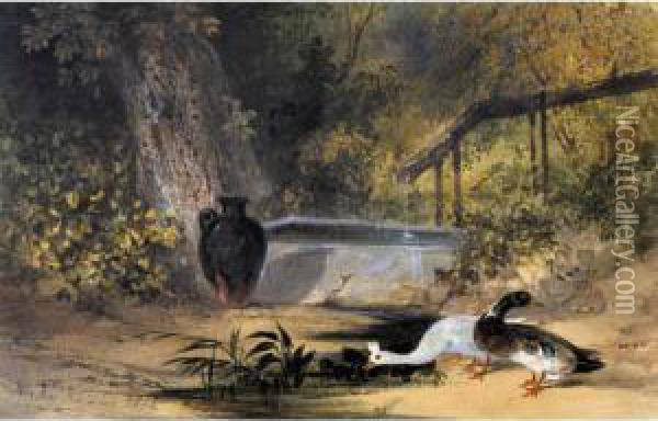 Ducks By A Pool Of Water Oil Painting - Newton Fielding