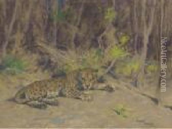 A Leopard Resting In The Shade Oil Painting - Arthur Wardle