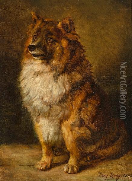 A Pomeranian Oil Painting - Antoine, Tony Dury