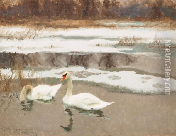 Swans Oil Painting - Bruno Andreas Liljefors