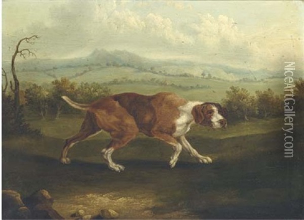 The Spanish Pointer (after George Stubbs) Oil Painting - Abraham Cooper