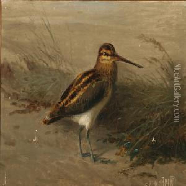 A Snipe On A Beach Oil Painting - Niels Peter Rasmussen