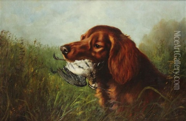 Retriever Oil Painting - Arthur Fitzwilliam Tait