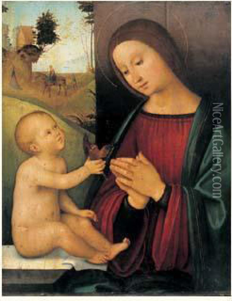 La Vierge A L'enfant Tenant Un Chardonneret Oil Painting - Lorenzo Costa