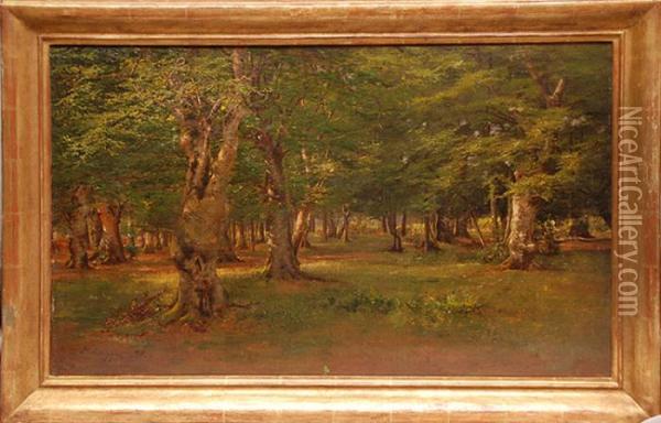 Trees In A Landscape Oil Painting - Andrei Nikolaevich Shilder