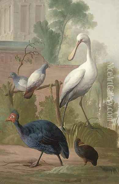 Pigeons, guinea fowl and a spoonbill in a garden, by a walled palace Oil Painting - Gerrit van den Heuvel