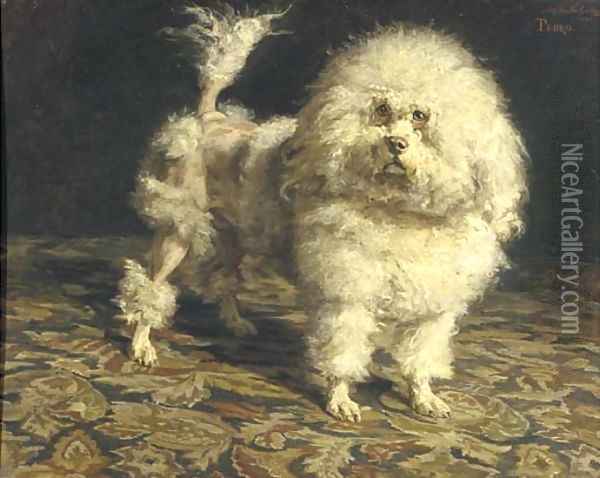Pedro portrait of a poodle Oil Painting - Charles van den Eycken