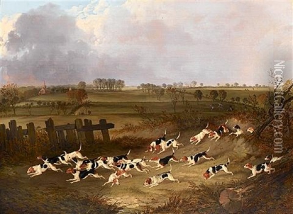 The Royal Rock Beagles Oil Painting - John Dalby