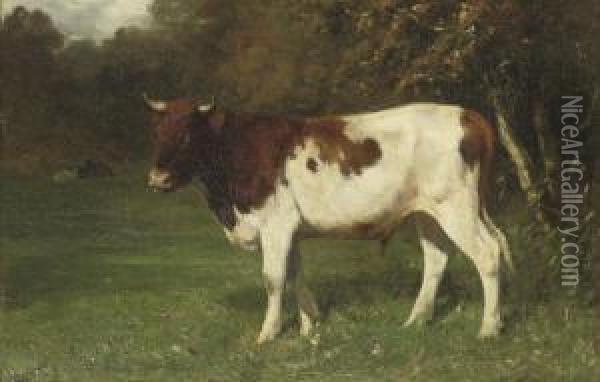 Jonge Stier: The Bull Oil Painting - Willem Maris
