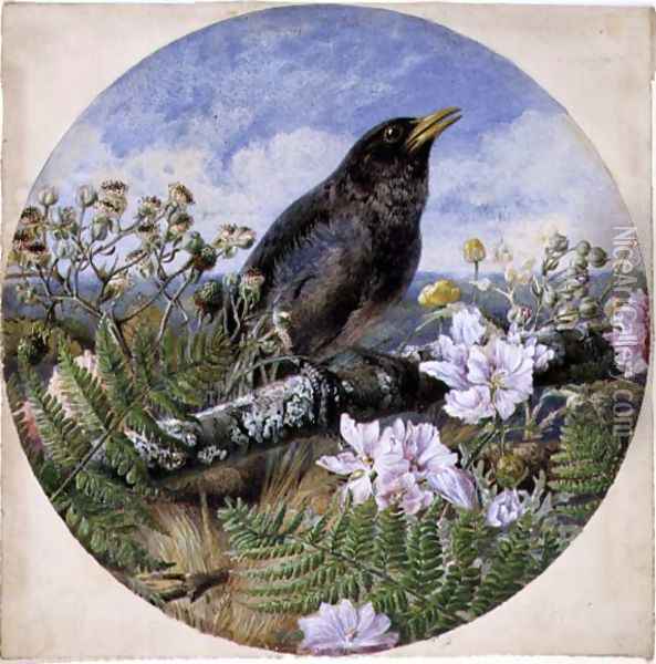 Blackbird, 1864 Oil Painting - Harrison William Weir
