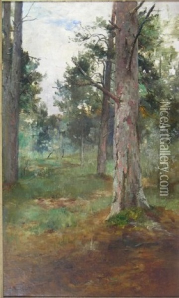 Deeside Forest (+ Another; Pair) Oil Painting - Thomas Bunting