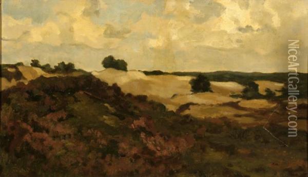 Dune Landscape Oil Painting - Willem Bastiaan Tholen
