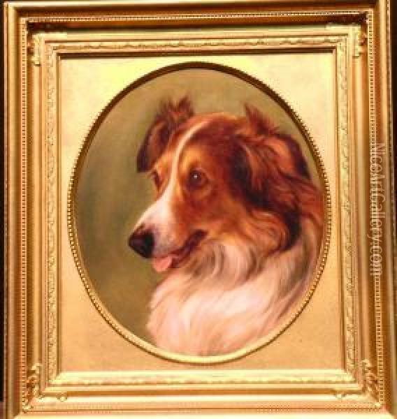 Portrait Of A Collie Oil Painting - George Earl