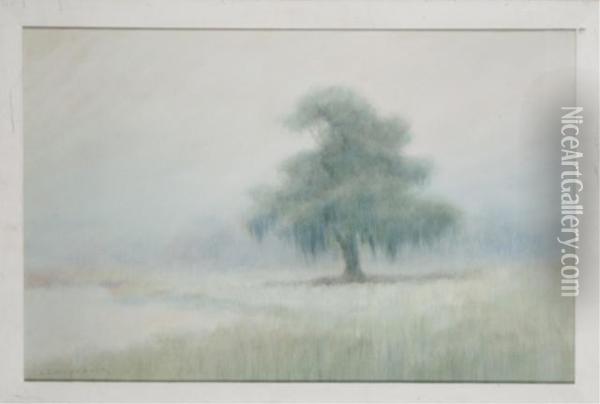Moss-draped Live Oak In A Field Oil Painting - Alexander John Drysdale