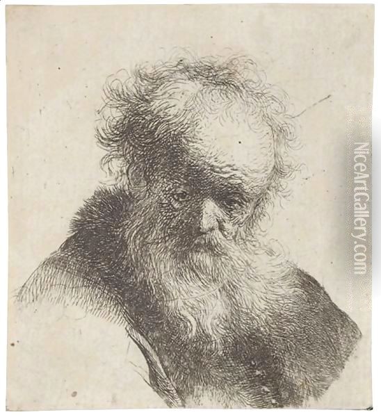 Bust Of An Old Man With Flowing Beard And White Sleeve Oil Painting - Rembrandt Van Rijn