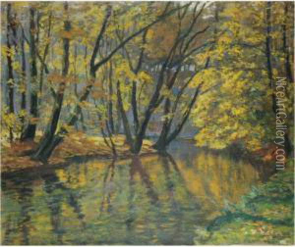 The Bela Stream In Autumn Oil Painting - Antonin Hudecek