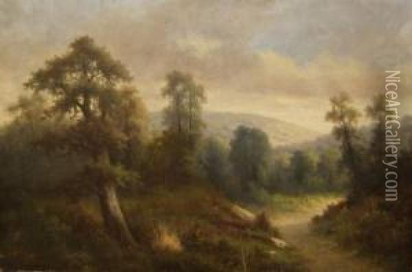 A Woodland Oil Painting - Ada Stone