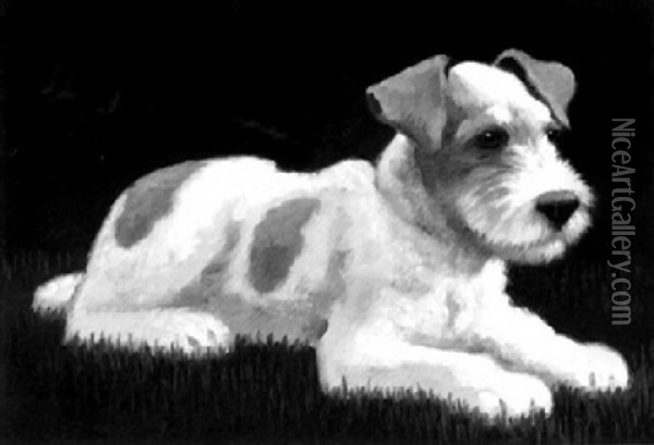 Fox-terrier Oil Painting - Kalman Mesterhazy