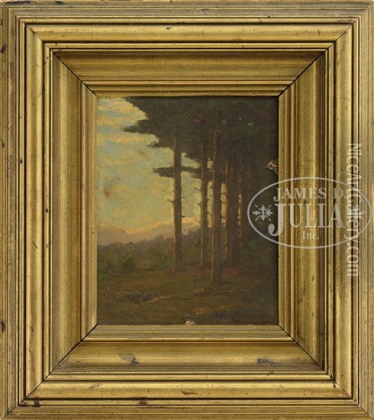 Pine Trees In Morning Light Oil Painting - Charles Warren Eaton