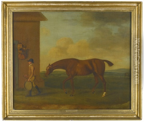 A Chestnut Racehorse Led By A Groom Oil Painting - Francis Sartorius the Elder