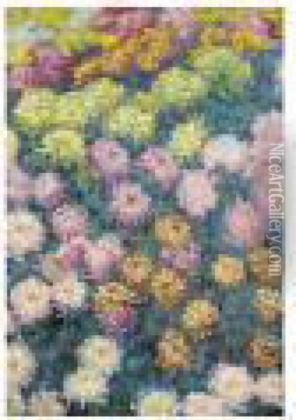 Massif De Chrysanthemes Oil Painting - Claude Oscar Monet