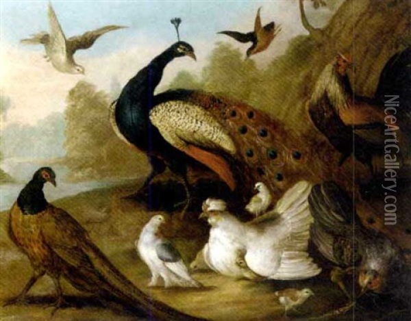 A Peacock, Pheasant, Hen, A Dove And Other Fowl In A River Landscape Oil Painting - Marmaduke Cradock