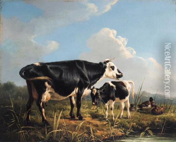 Cows And Ducks Beside A Pond Oil Painting - Eugene Joseph Verboeckhoven
