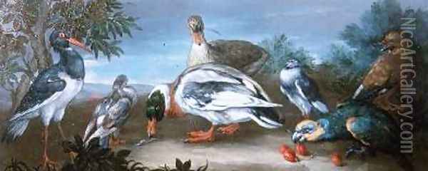 A Landscape with Parrots Ducks and Pigeons Oil Painting - Jean-Baptiste Monnoyer