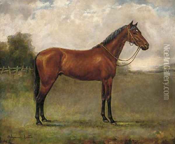 A bay horse in a paddock Oil Painting - Adrienne Lester