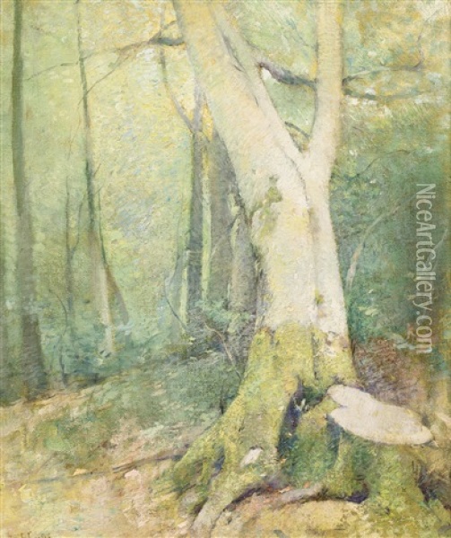 Woodland Interior Oil Painting - Emil Carlsen