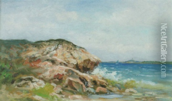 Rodskar, Motiv Fran Runmaro Oil Painting - Johan Severin Nilsson